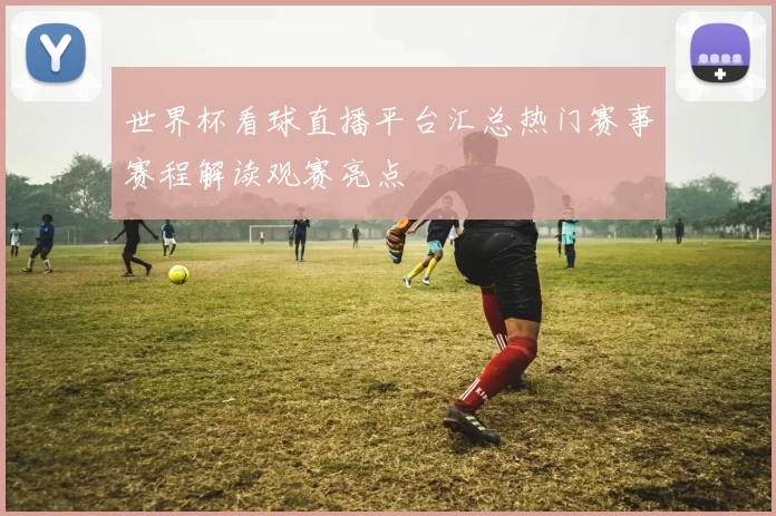 世界杯看球直播平台汇总热门赛事赛程解读观赛亮点