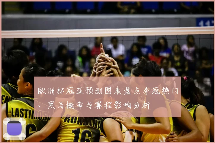 欧洲杯冠亚预测图表盘点夺冠热门、黑马概率与赛程影响分析