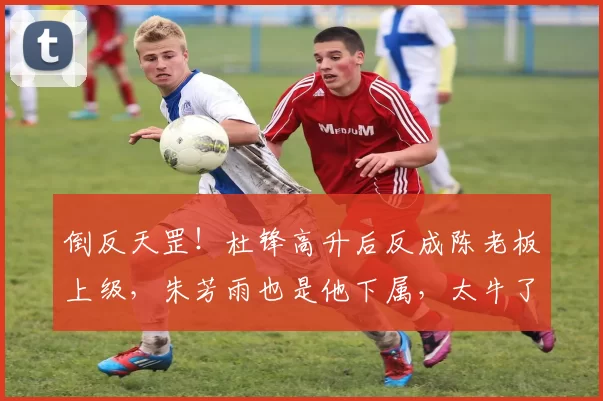 倒反天罡！杜锋高升后反成陈老板上级，朱芳雨也是他下属，太牛了